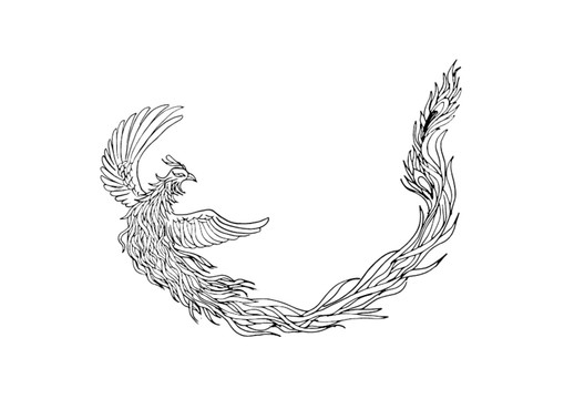 鳳凰線稿