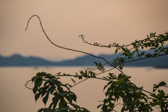 千岛湖的傍晚