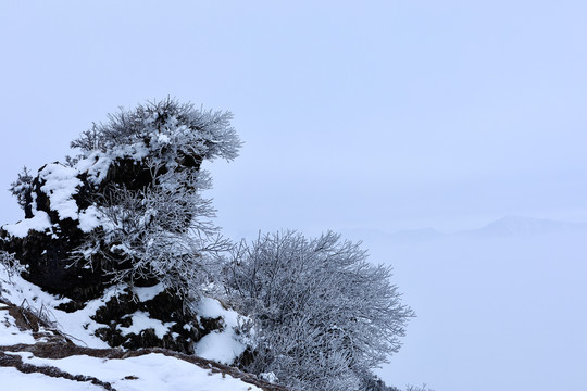 牛背山风光