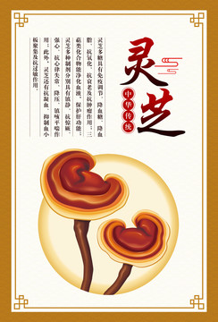 靈芝海報