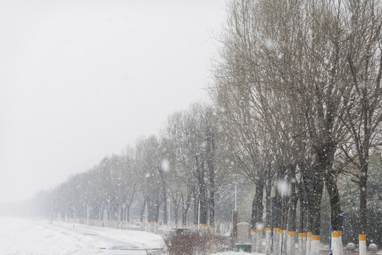 意境飞雪