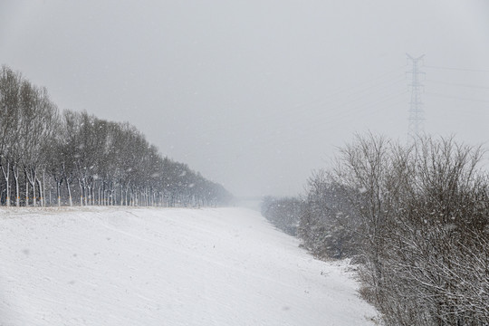 雪中意境