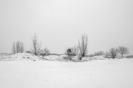 唯美雪景