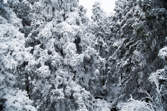 庐山雪景