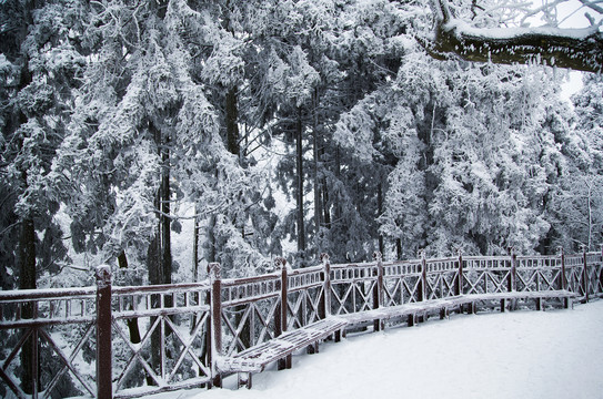 庐山雪景