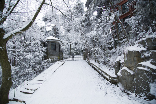 庐山雪景