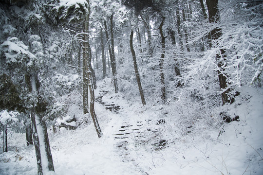 庐山雪景