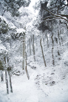 庐山雪景