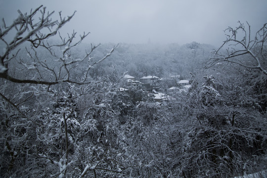 庐山雪景