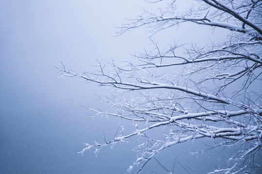 庐山雪景