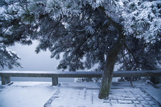 庐山雪景