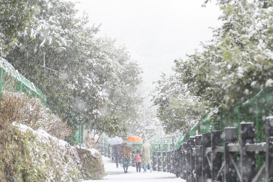 树山村雪景