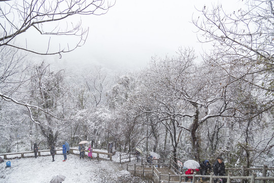 苏州树山村雪景