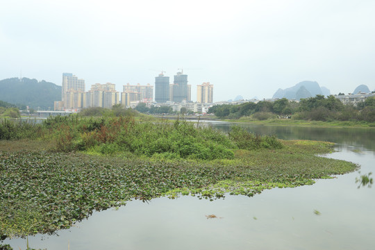 荔浦市城镇