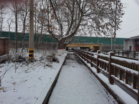 阳春白雪