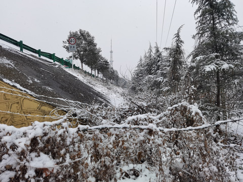 北方的春雪