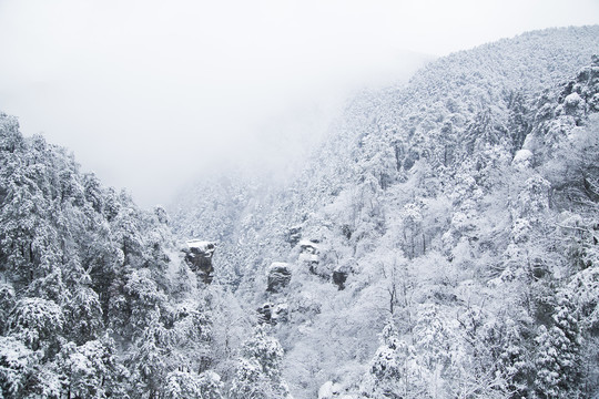 庐山雪景