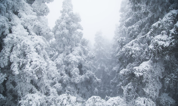 庐山雪景