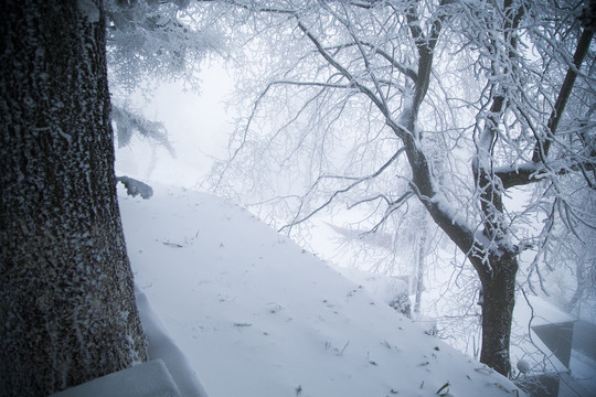 庐山雪景