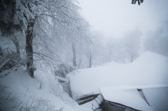 庐山雪景