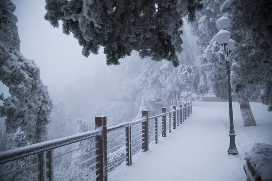 庐山雪景