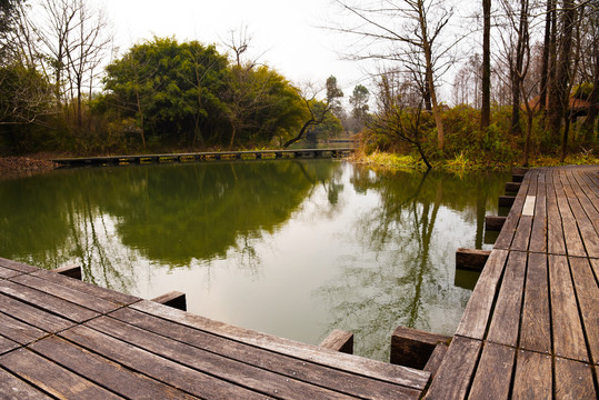 湿地风光木板路湖泊水上栈道