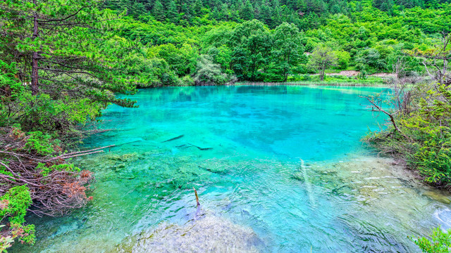 九寨沟卧龙湾