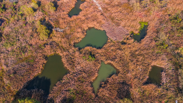 航拍湿地公园