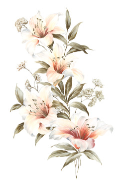 手繪百合花