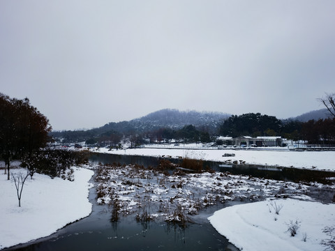 江南雪