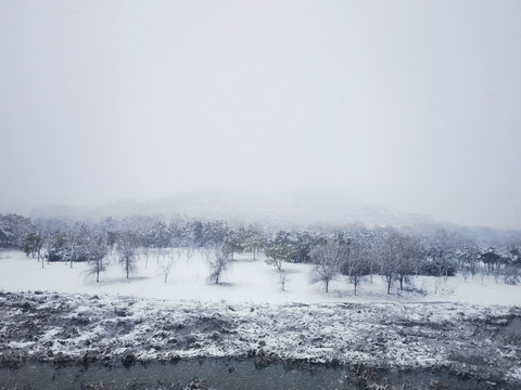 雪中跑道