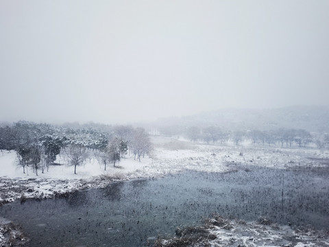 江南雪