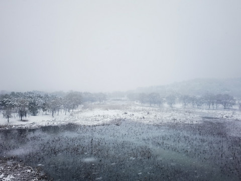 江南春雪