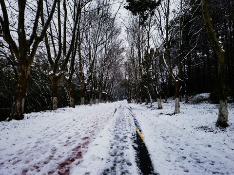 江南春雪