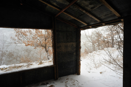 野外小屋