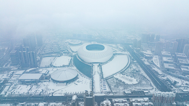 雪中的天津奥体中心