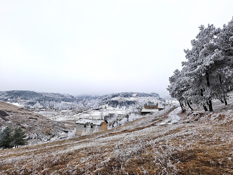 乡村雪景