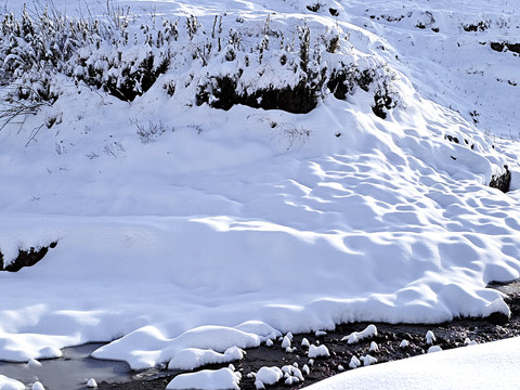 冬日雪景