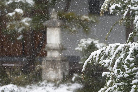 飘雪园林景观