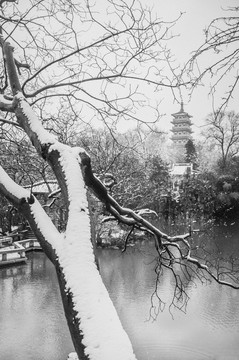 江南雪景