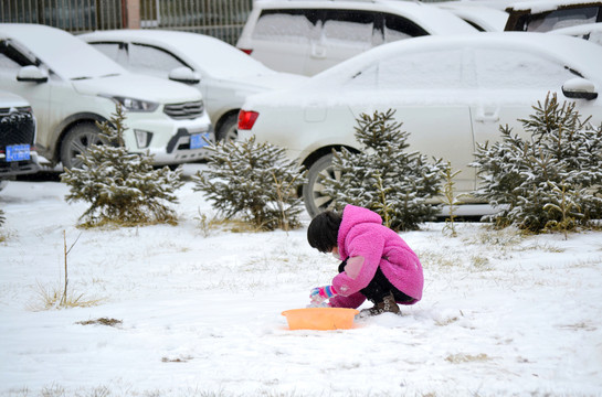 雪趣