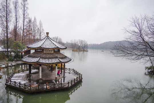 杭州西湖茅家埠黛色参天雪景