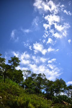蓝天白云高山绿树