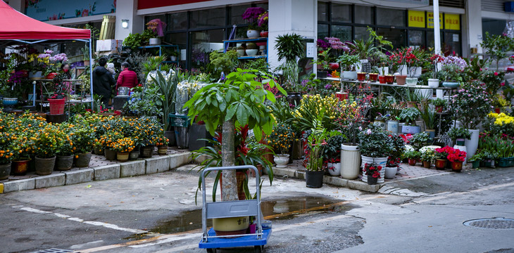 鲜花店