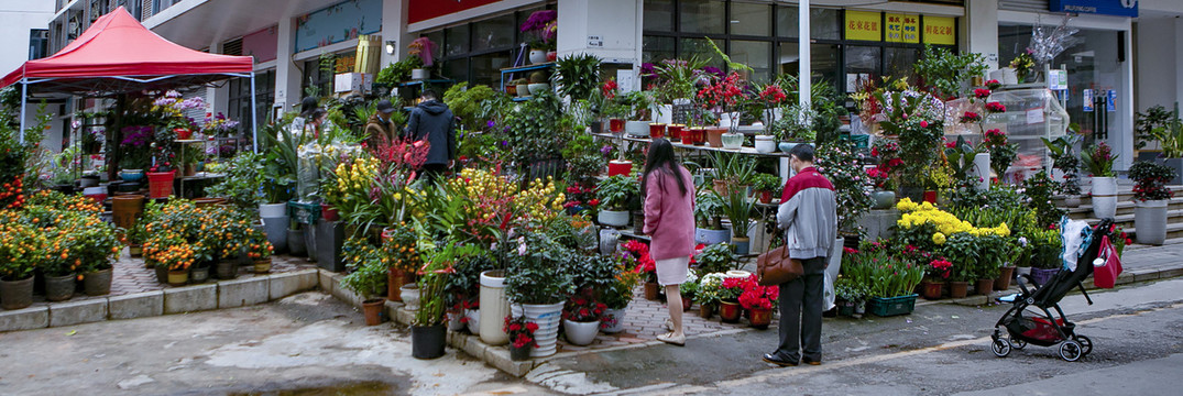 花房花店