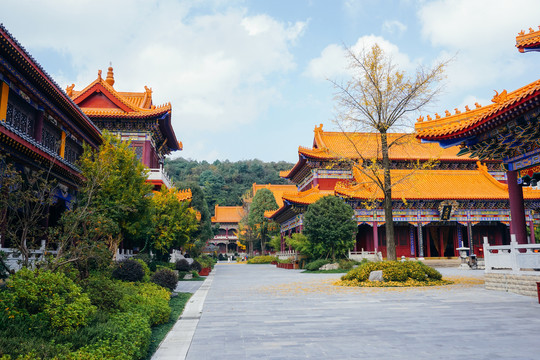 西普陀寺