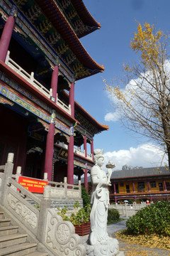 西普陀寺