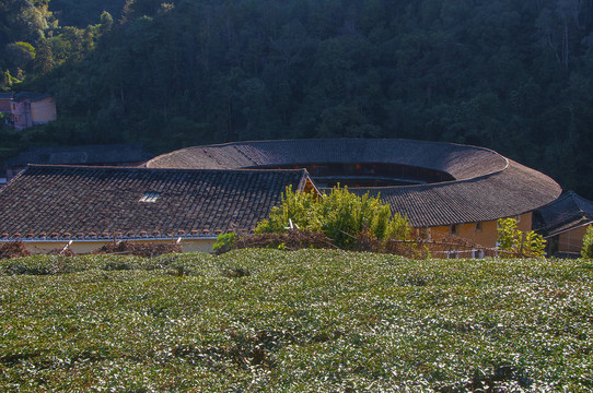 塔下村土楼俯瞰