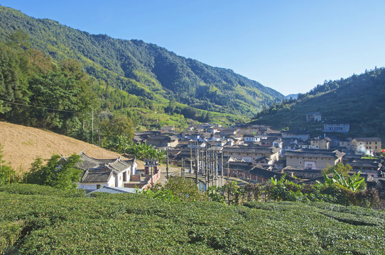 南靖塔下村村子风景