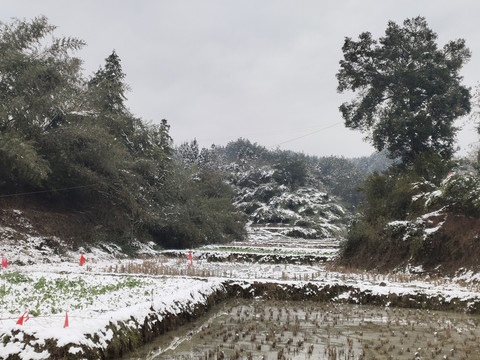 家乡的雪景